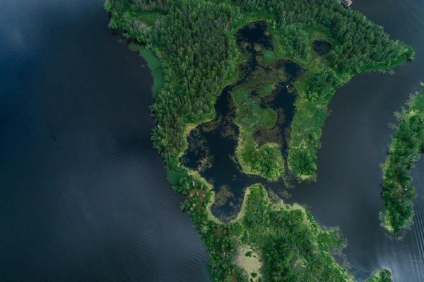 Quels sont les meilleurs moyens de préserver la biodiversité dans votre jardin ?