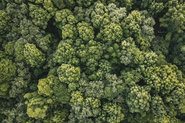 Quelles stratégies pour promouvoir l'économie circulaire dans votre entreprise?